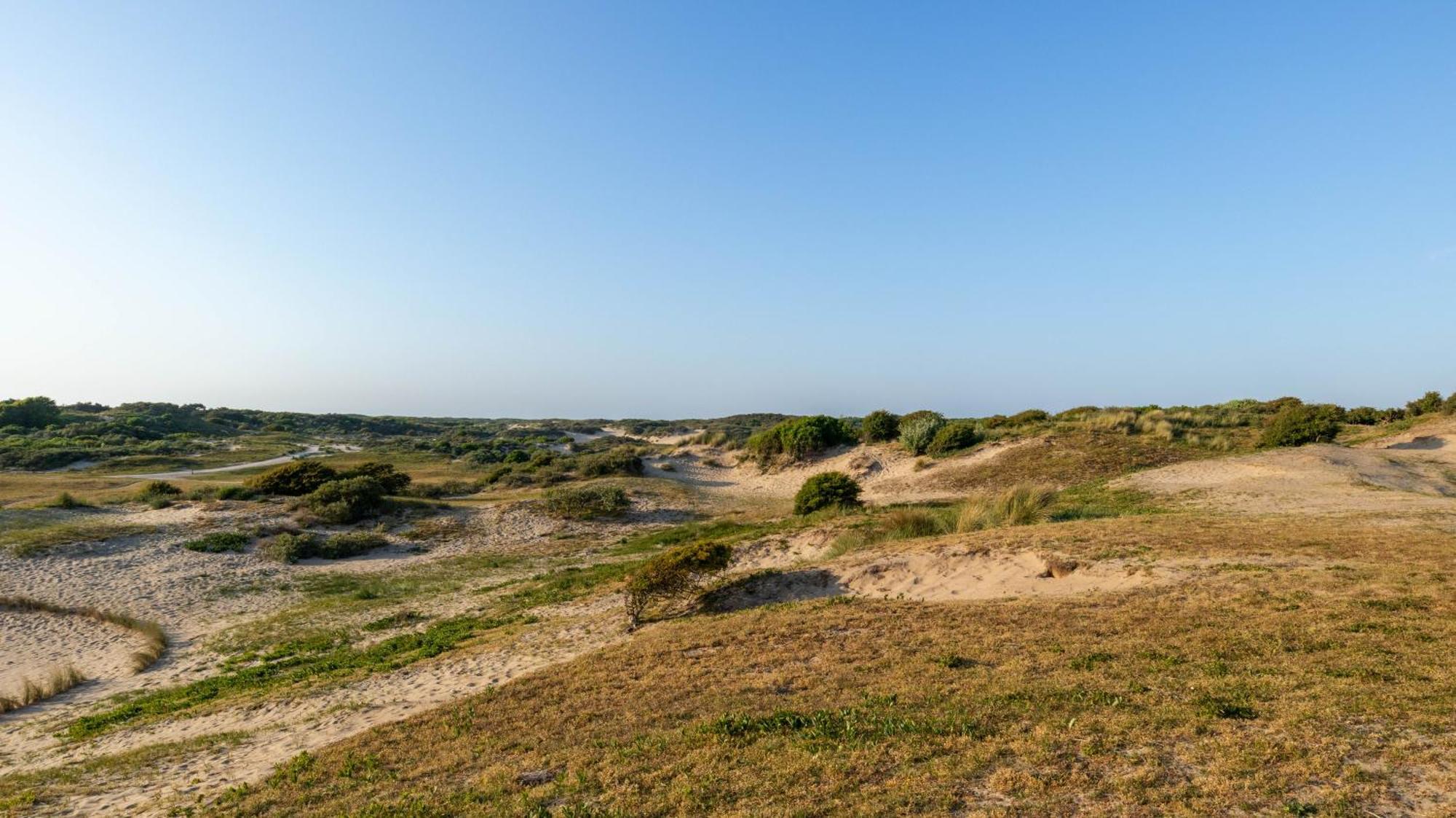 Beach Lodge 24 - Noordwijk Aan Zee - Met Eigen Tuin Exterior foto